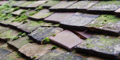 Pentre roof repair costs